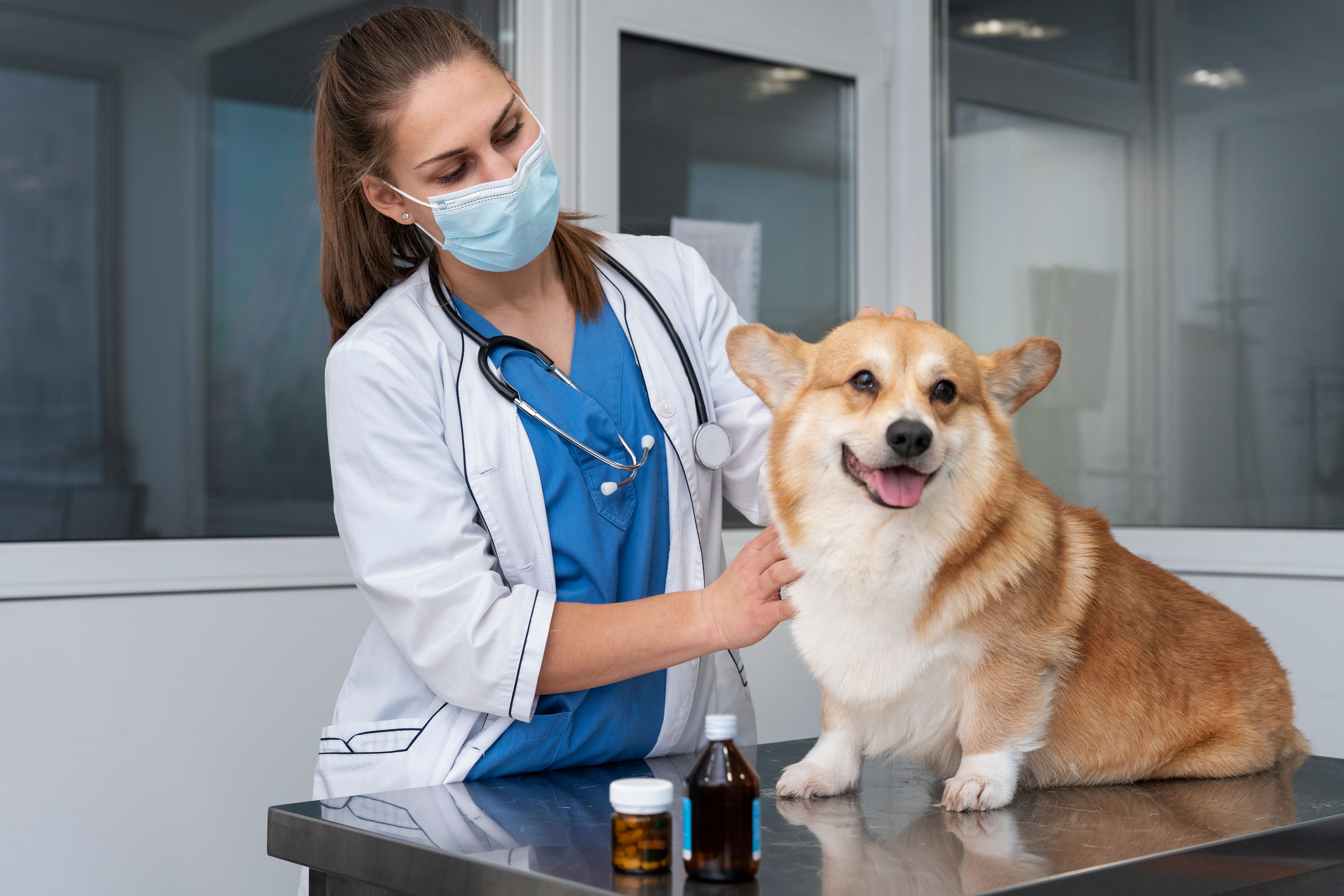 Clínica Médica em domicílio