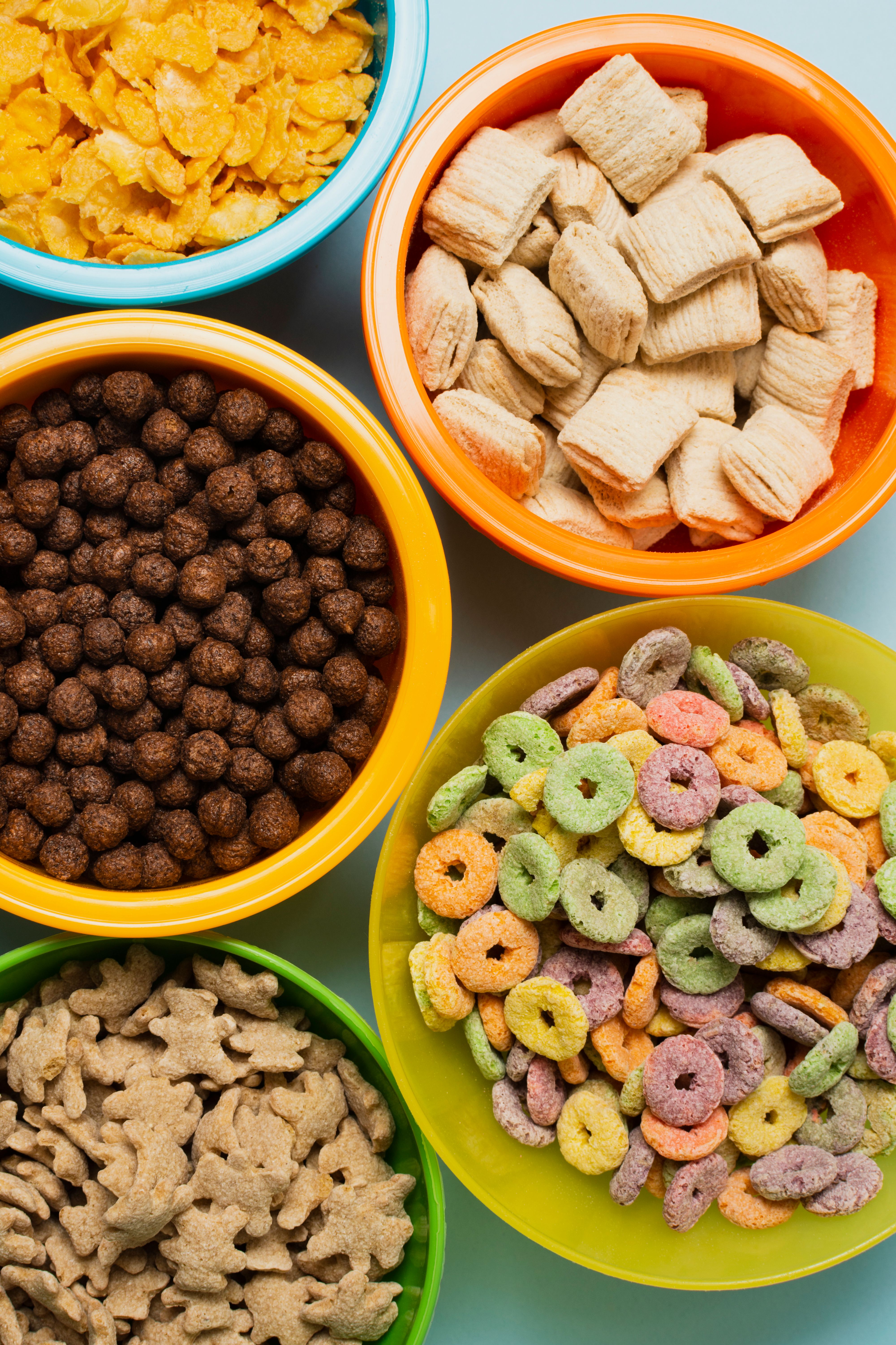 Nutrição Animal em domicílio