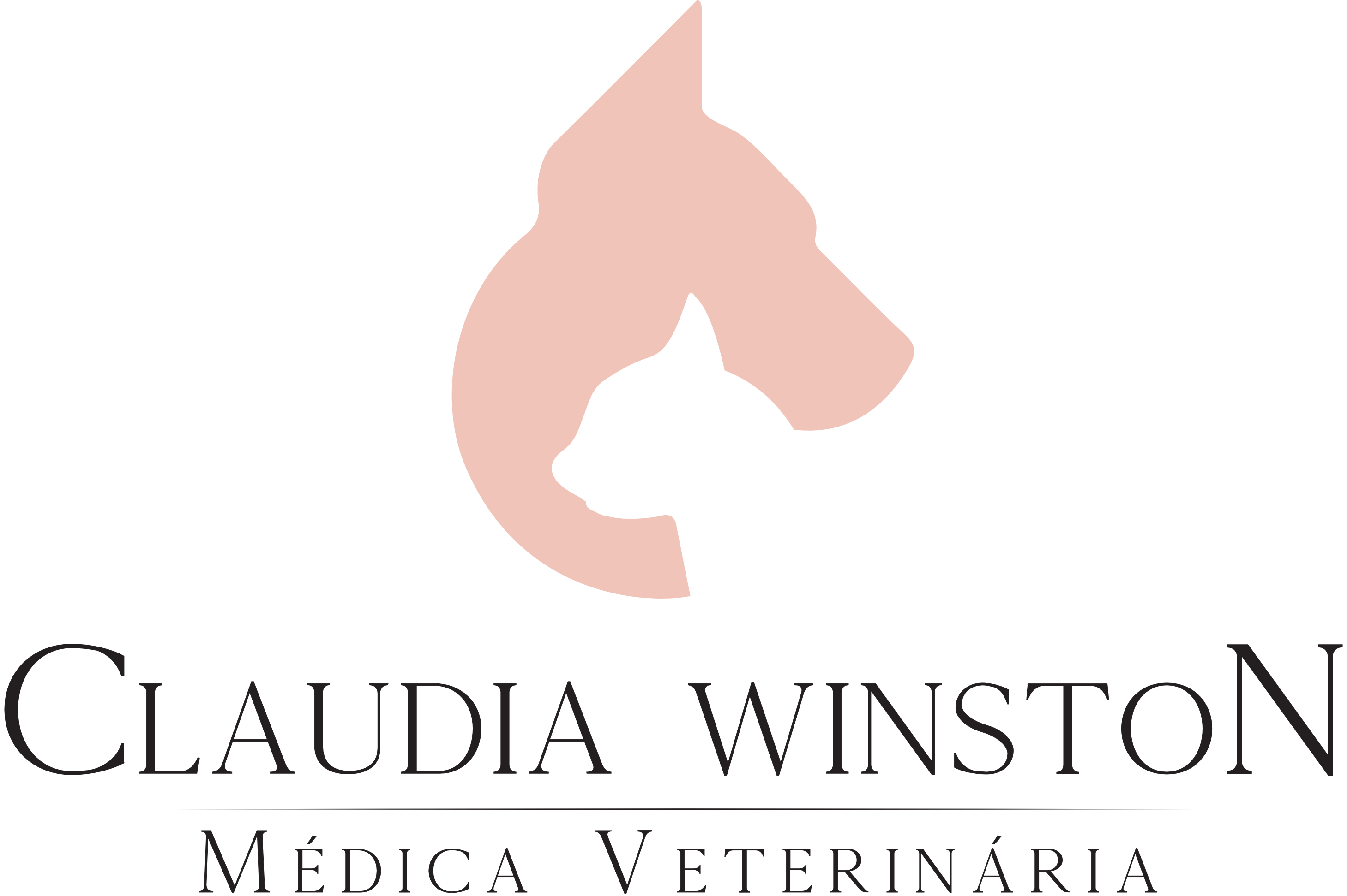 Logotipo Dra. Claudia Winston
